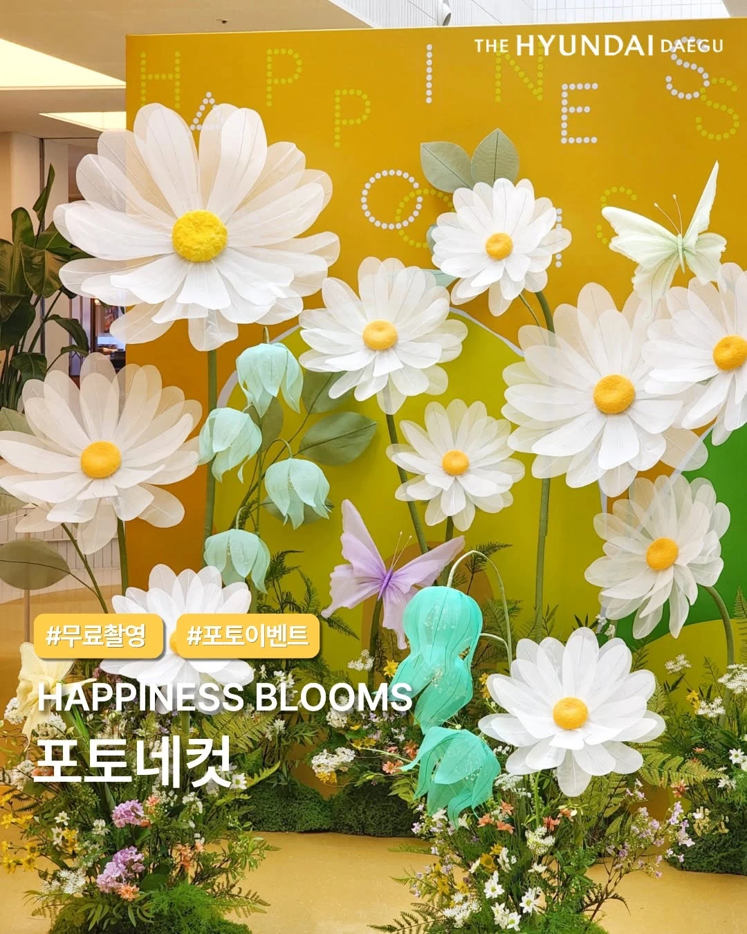 더현대 대구 포토네컷 이벤트 - 대구 팝업 _ 팝가 Popga