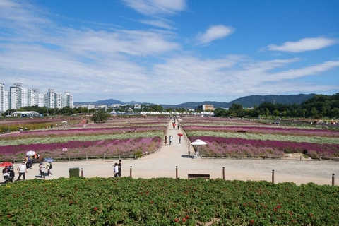 상세 이미지-96480