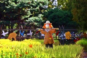 상세 이미지-96955