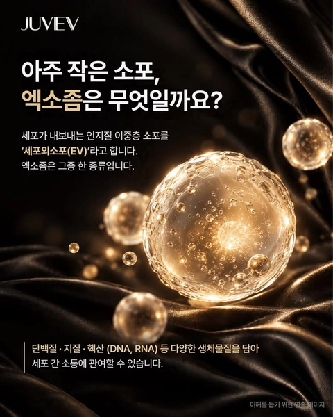 상세 이미지-111867