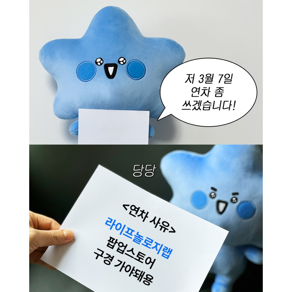 상세 이미지-10763