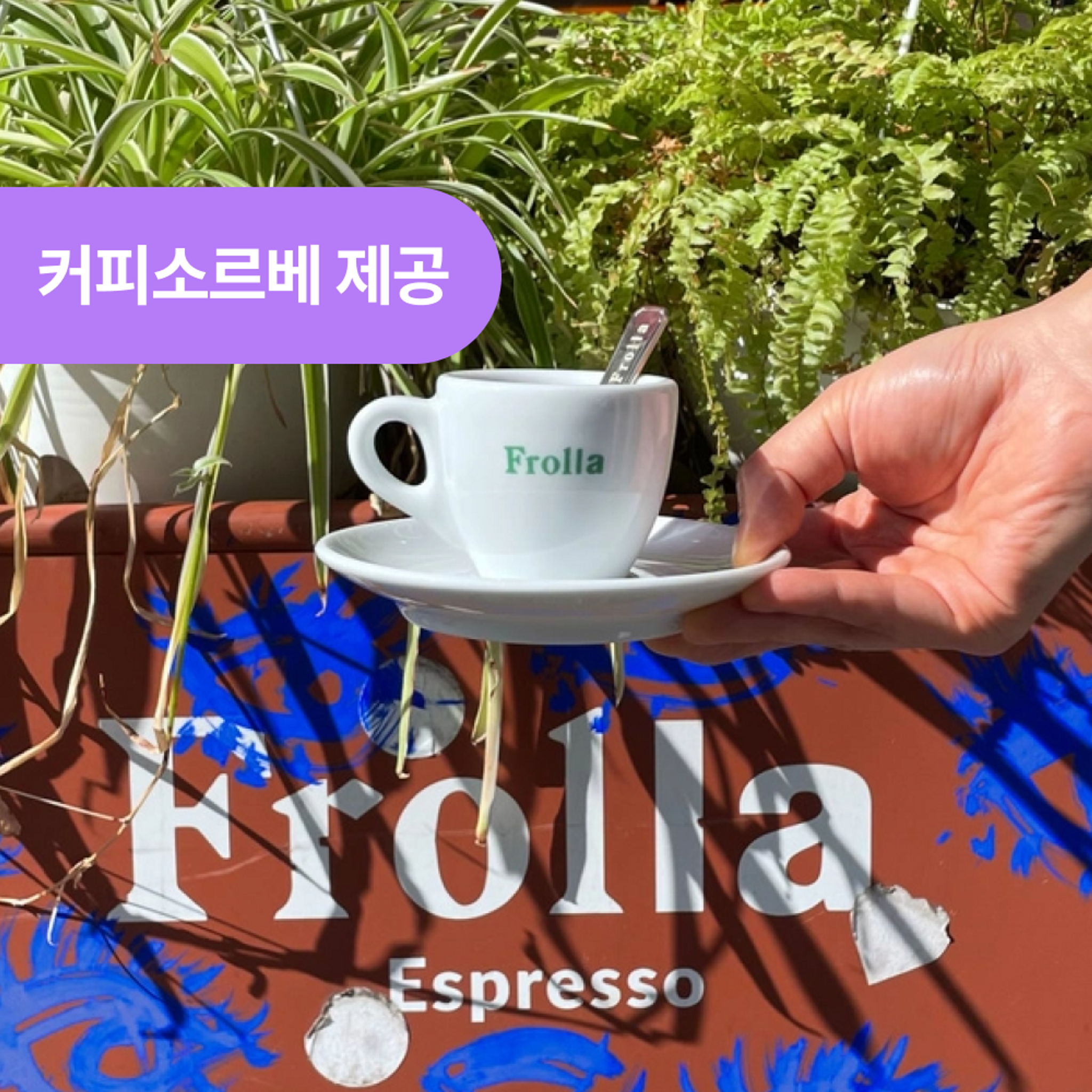 프롤라