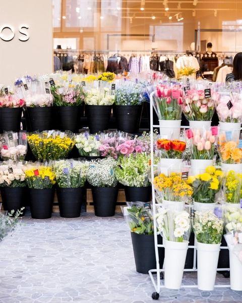 상세 이미지-47258