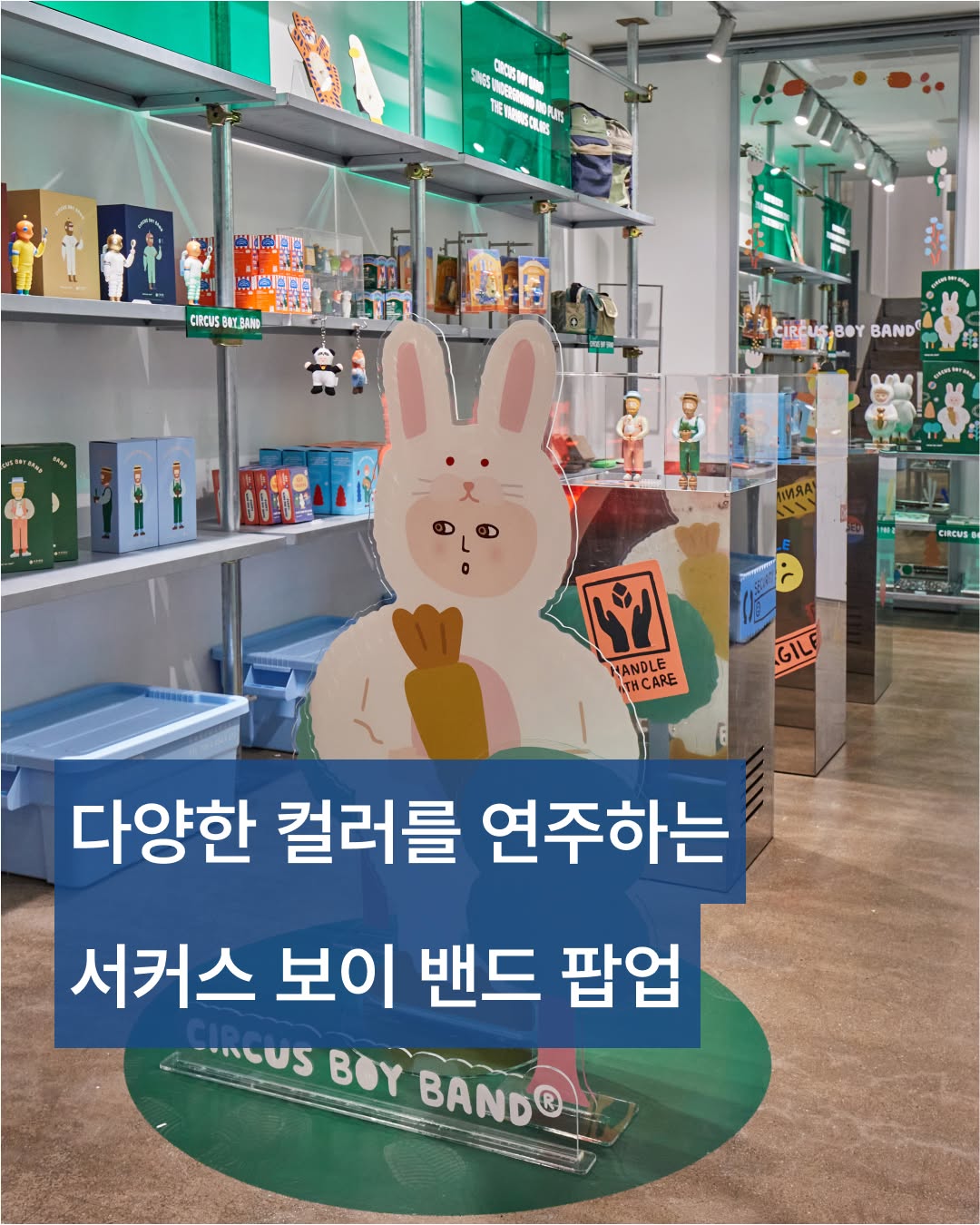 서커스 보이 밴드 팝업
