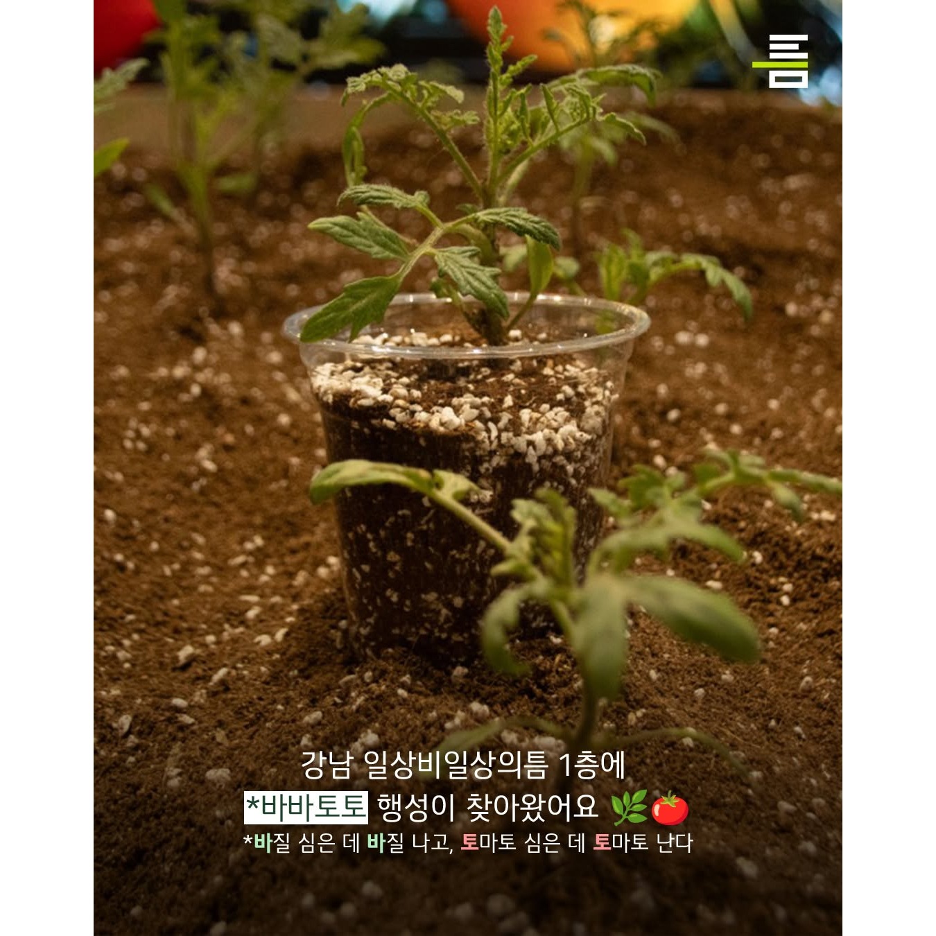 상세 이미지-12895