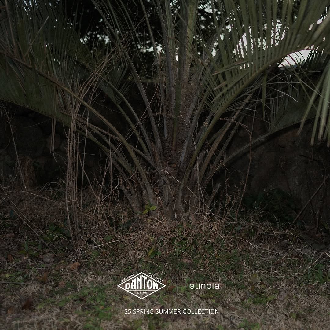 관련 팝업 - null