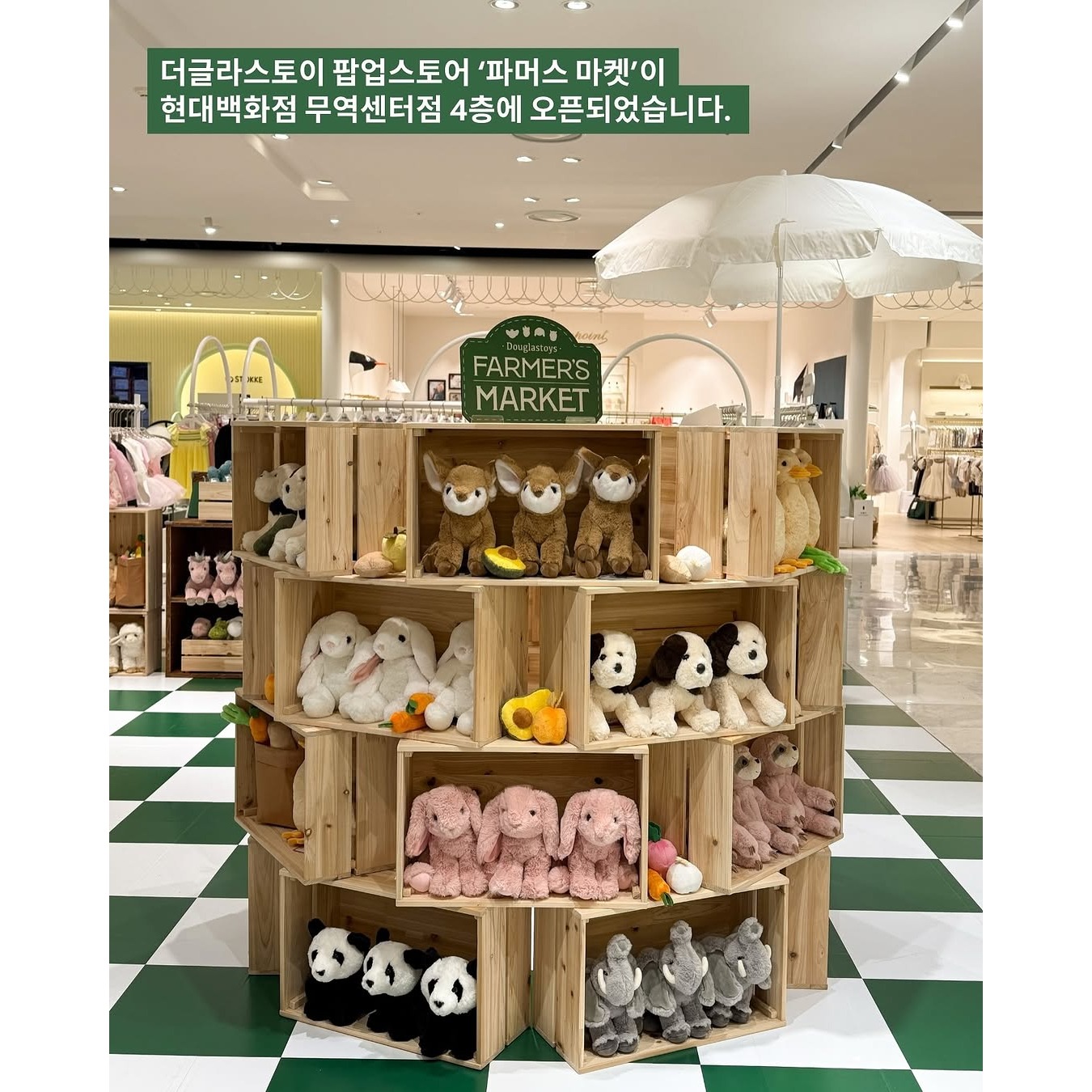 상세 이미지-13702