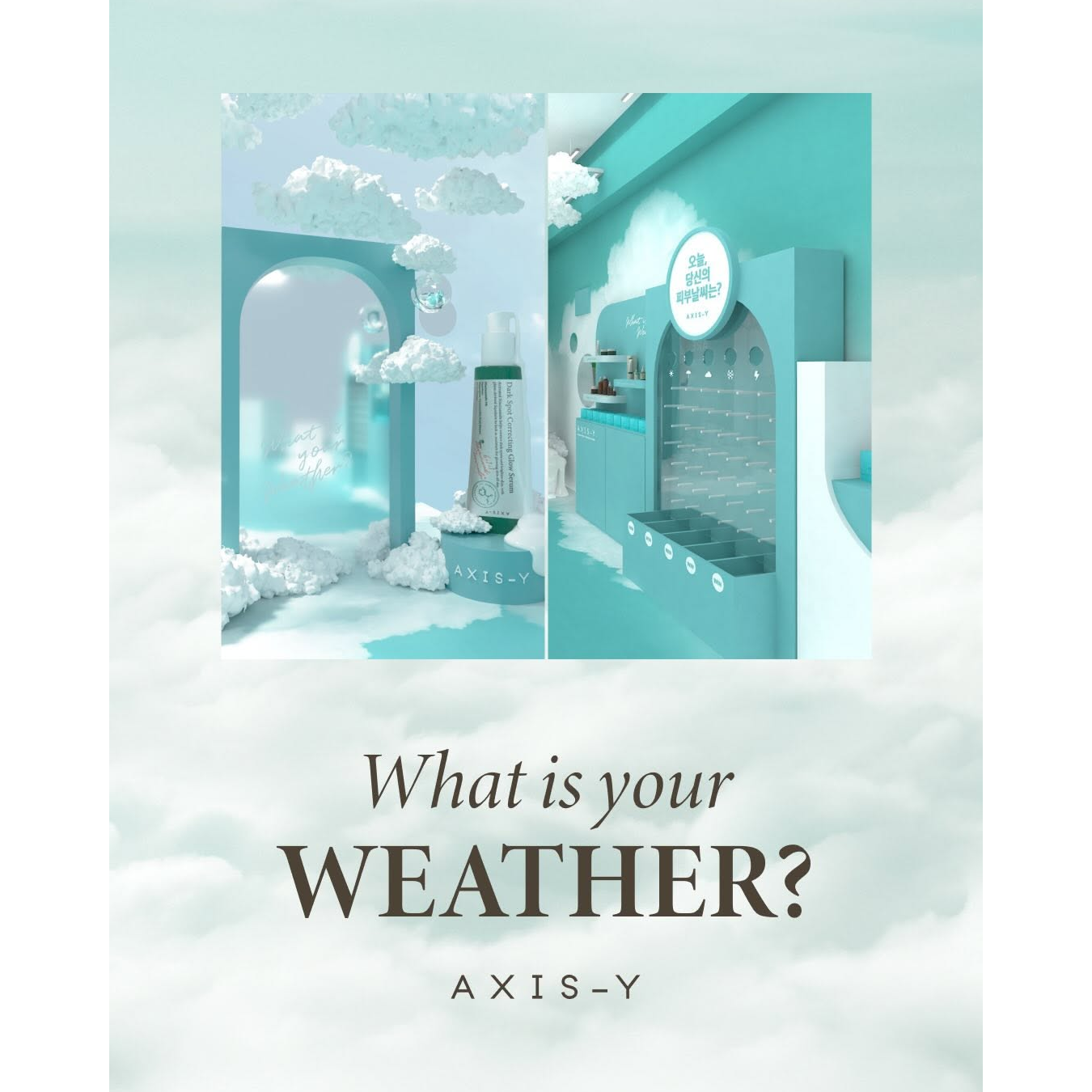 엑시스와이 팝업