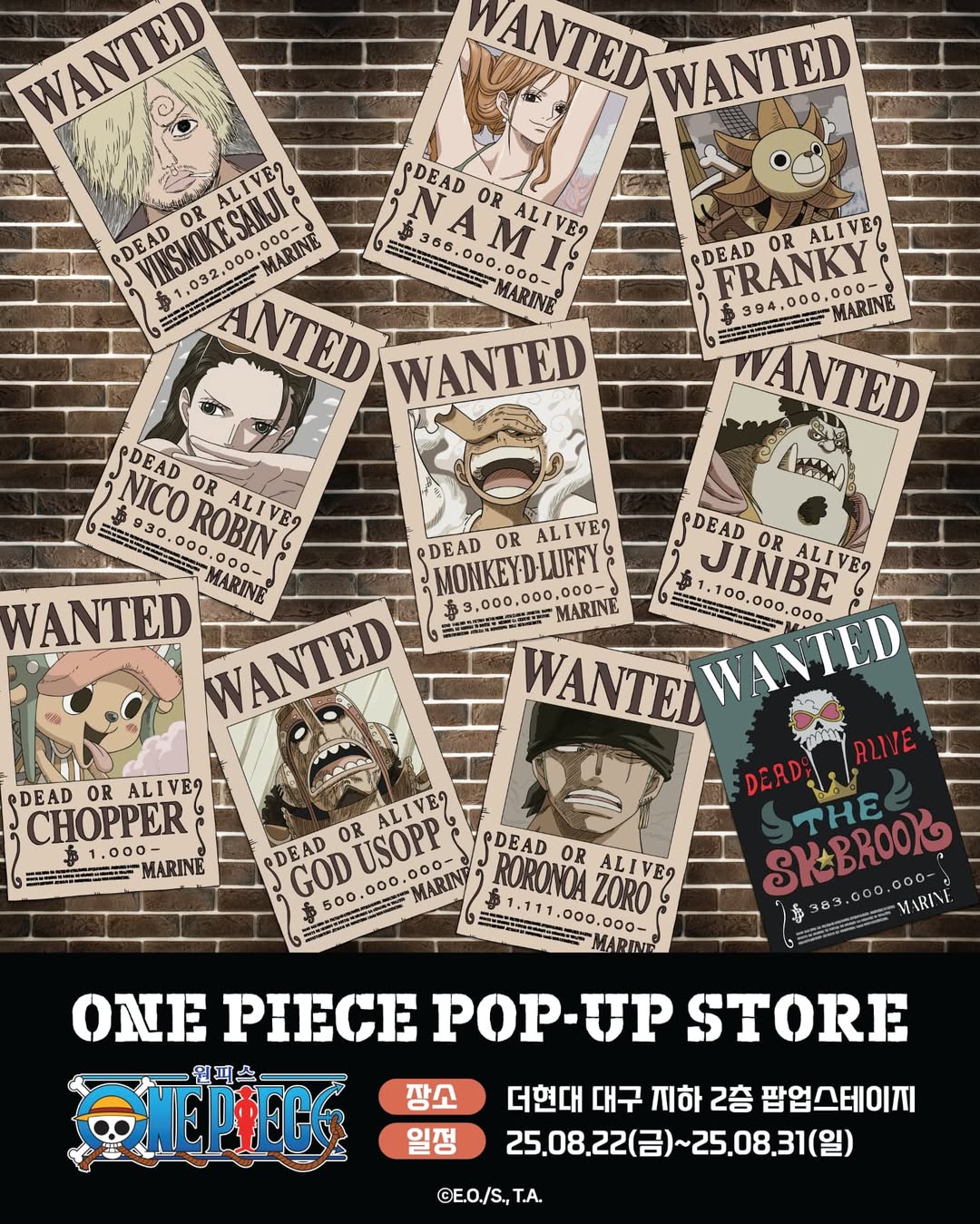 원피스 팝업 - 대구