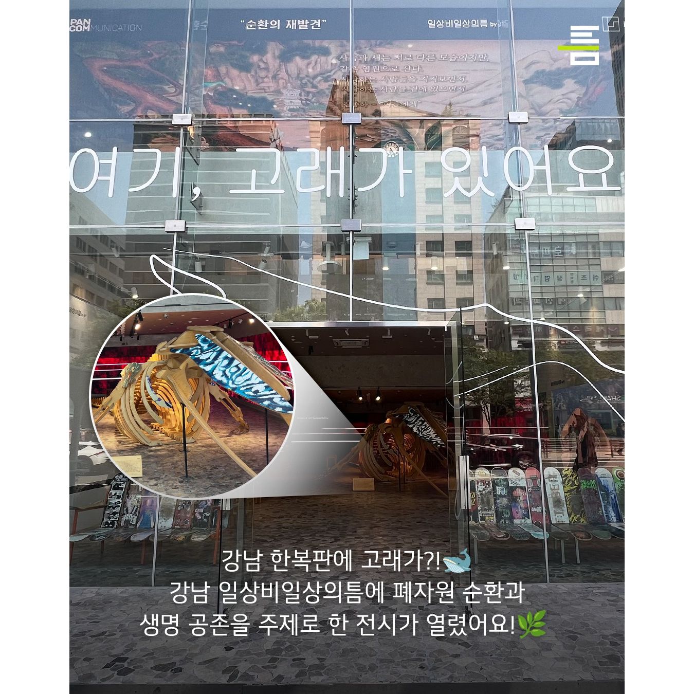 상세 이미지-16546