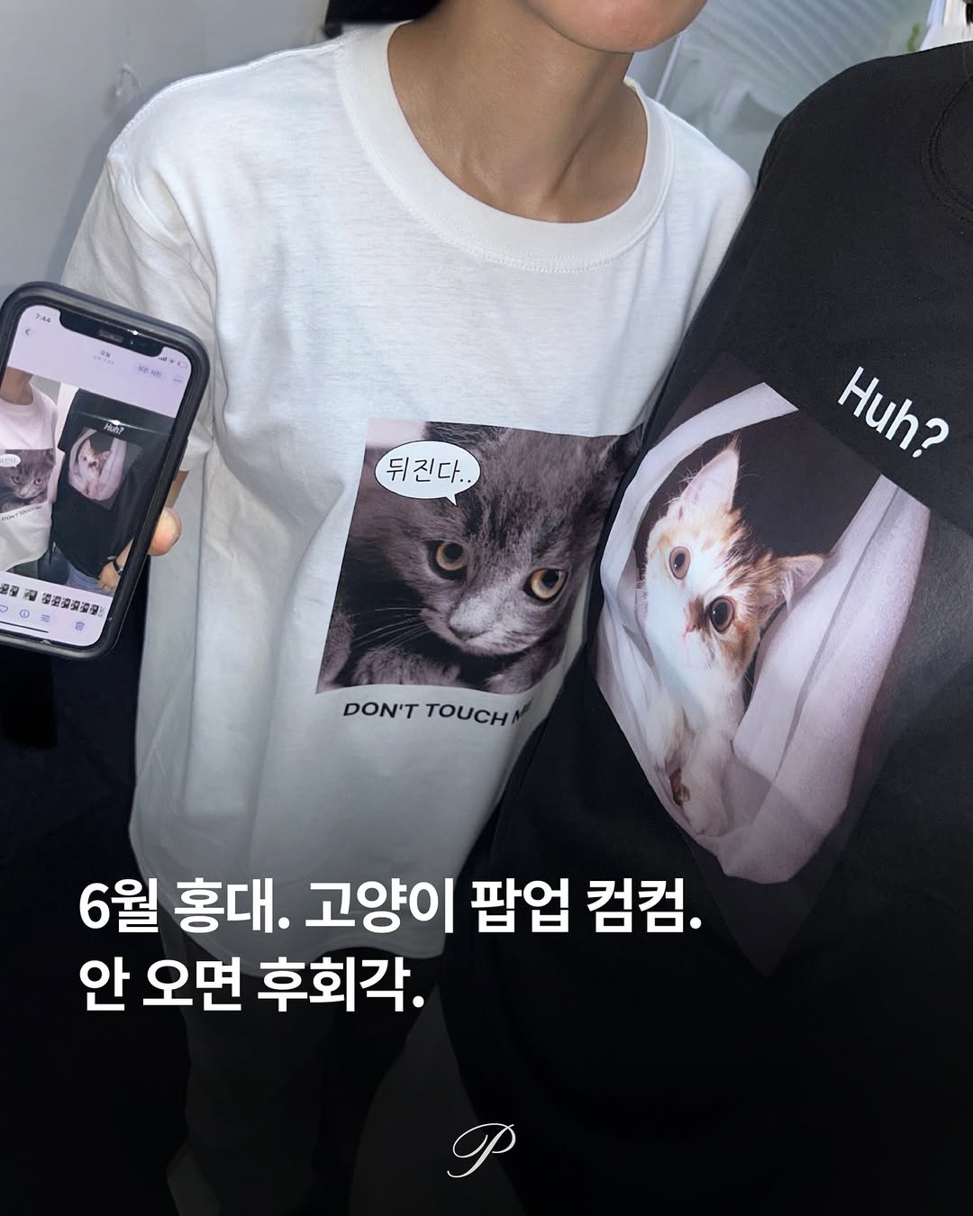 판옵티콘 고양이 팝업