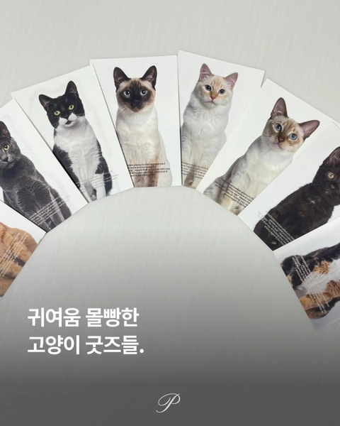 상세 이미지-42936