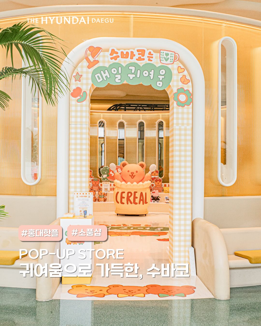수바코 팝업 - 대구