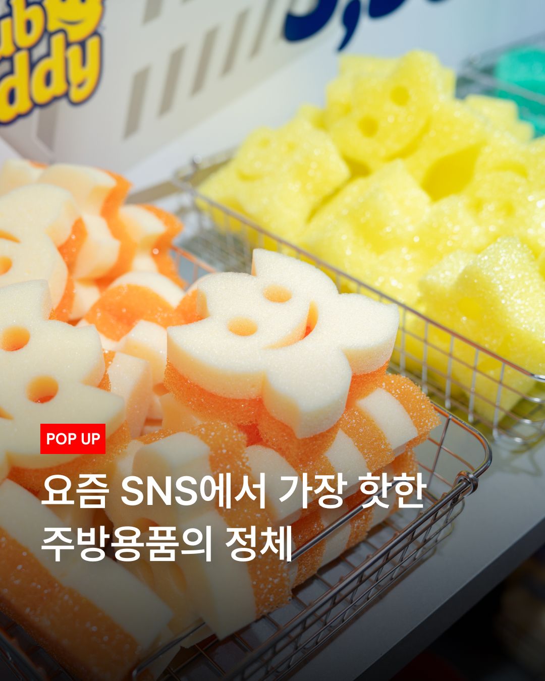 스크럽 대디 팝업