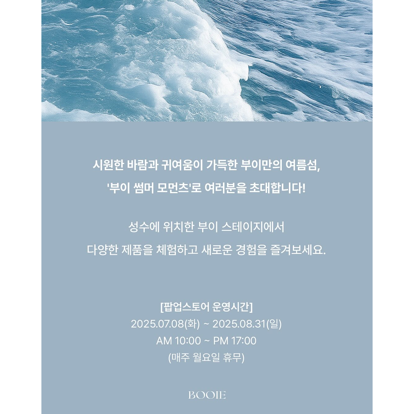 상세 이미지-17919