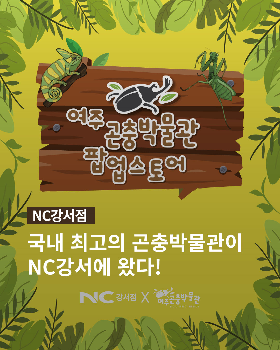 여주곤충박물관 팝업