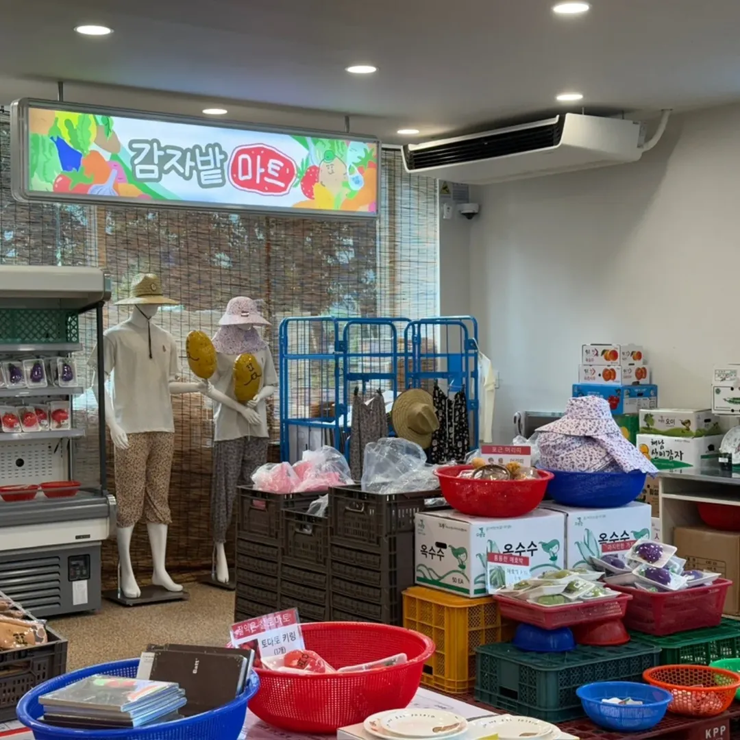 춘천감자밭 팝업 - 감자밭마트