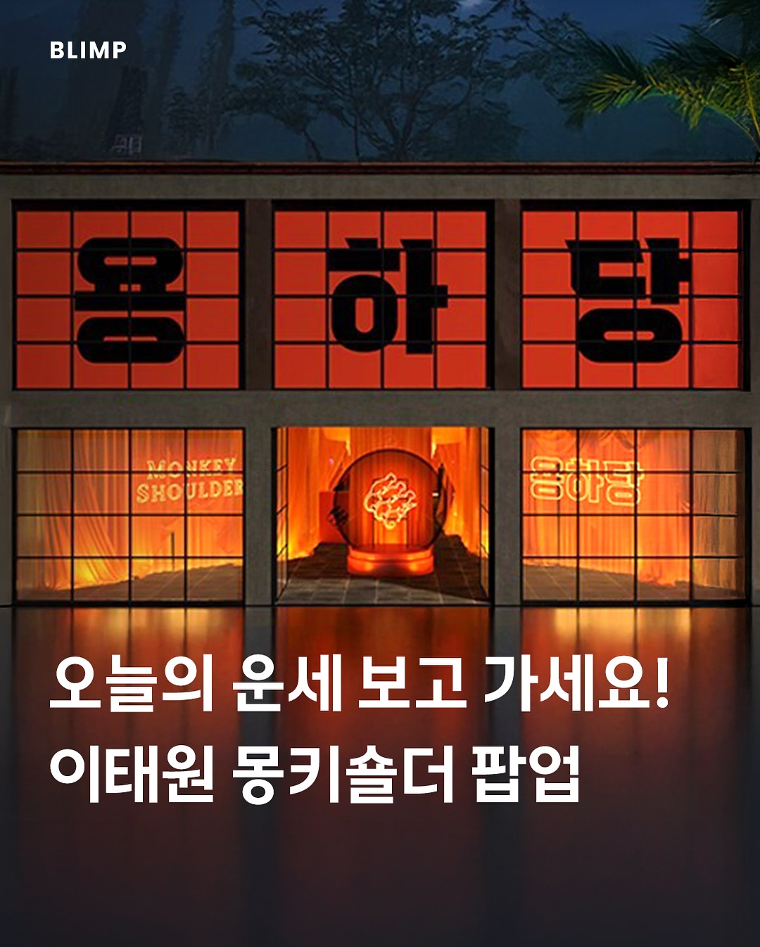 몽키숄더 용하당 팝업