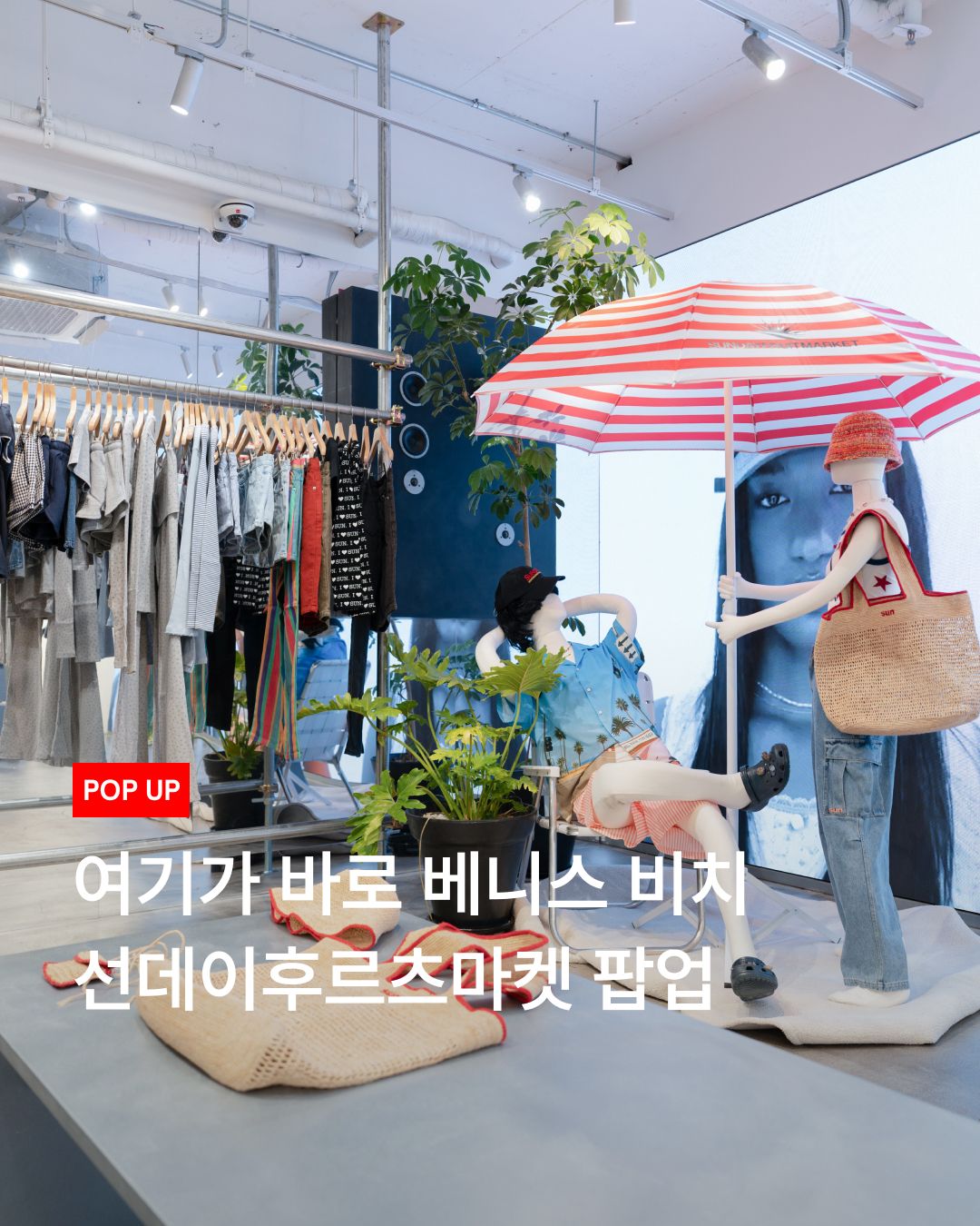 선데이후르츠마켓 팝업 