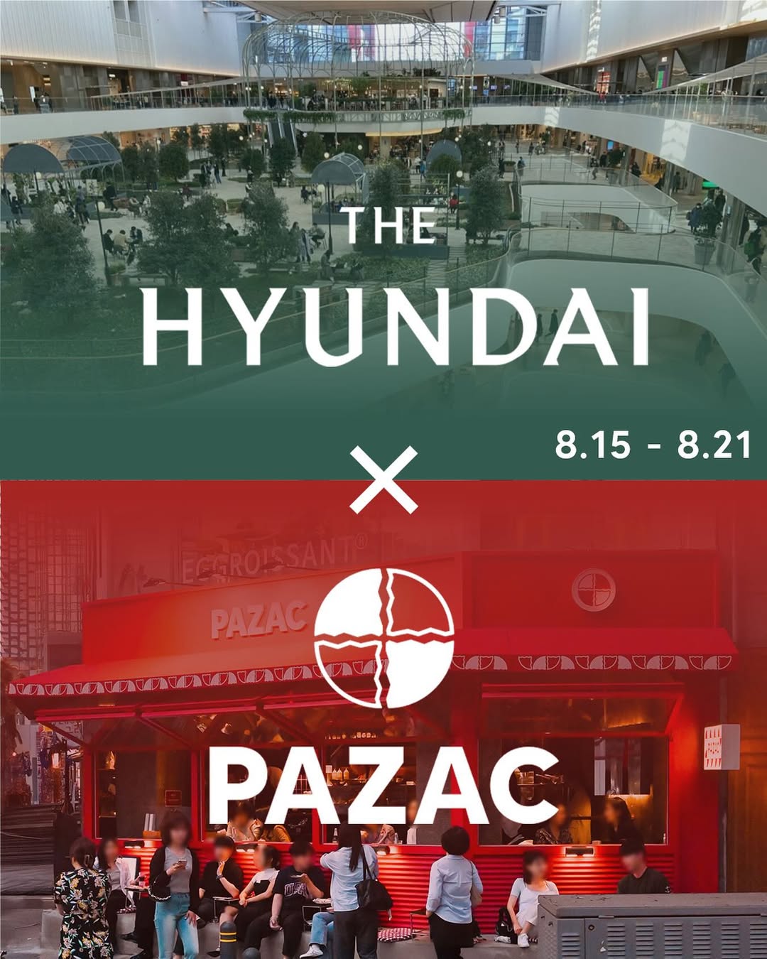 도우하우스 파작 팝업 