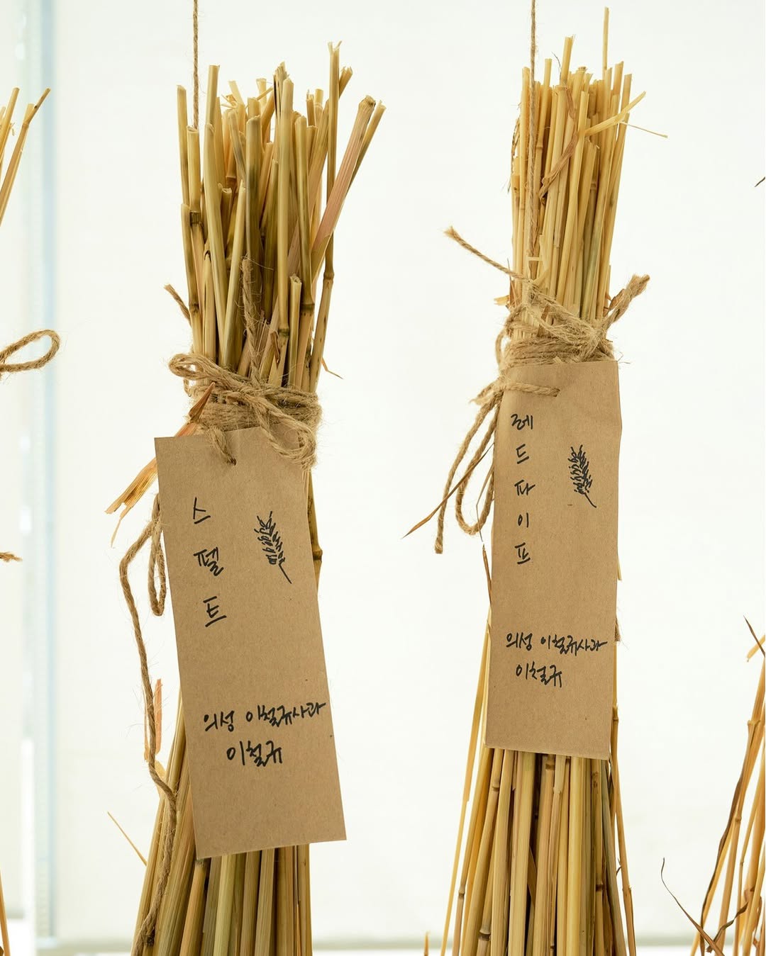 상세 이미지-20475