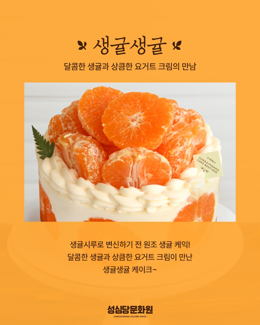 상세 이미지-20566