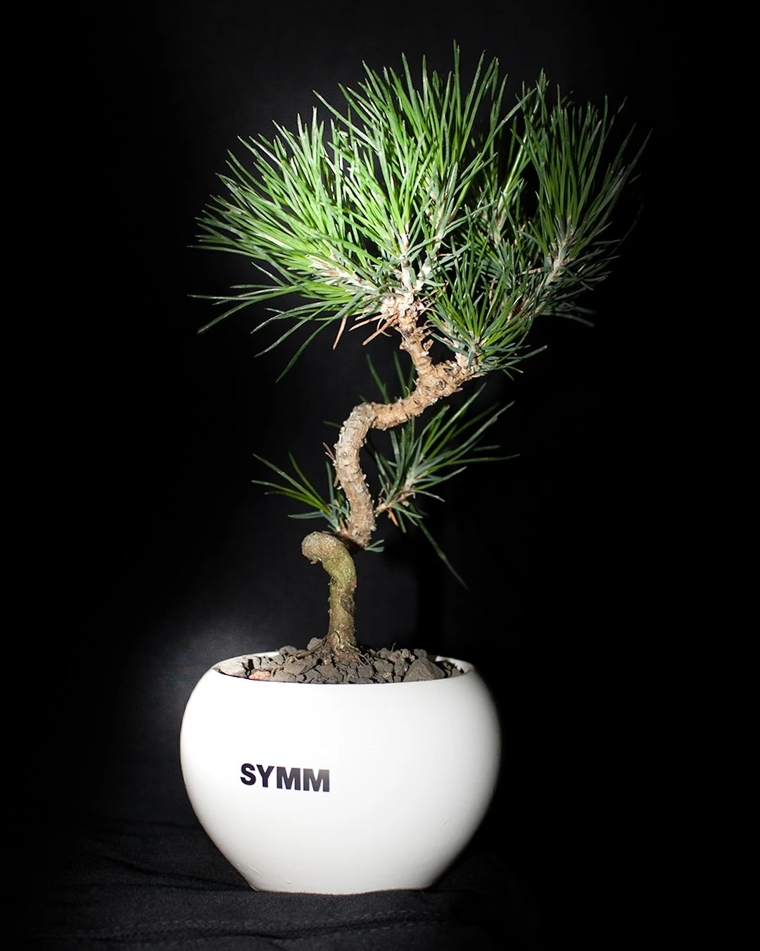 상세 이미지-22163