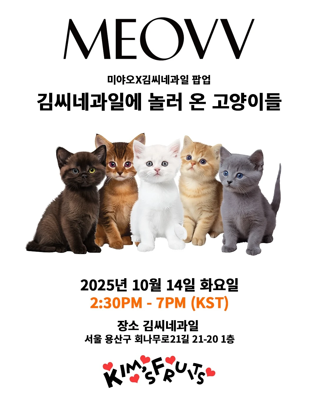 미야오 X 김씨네 과일 팝업