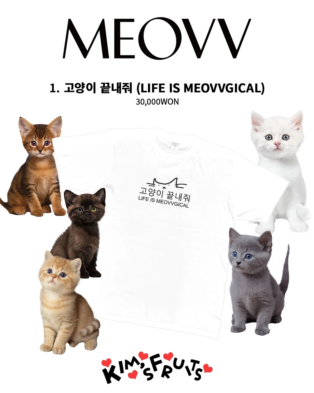 상세 이미지-23231