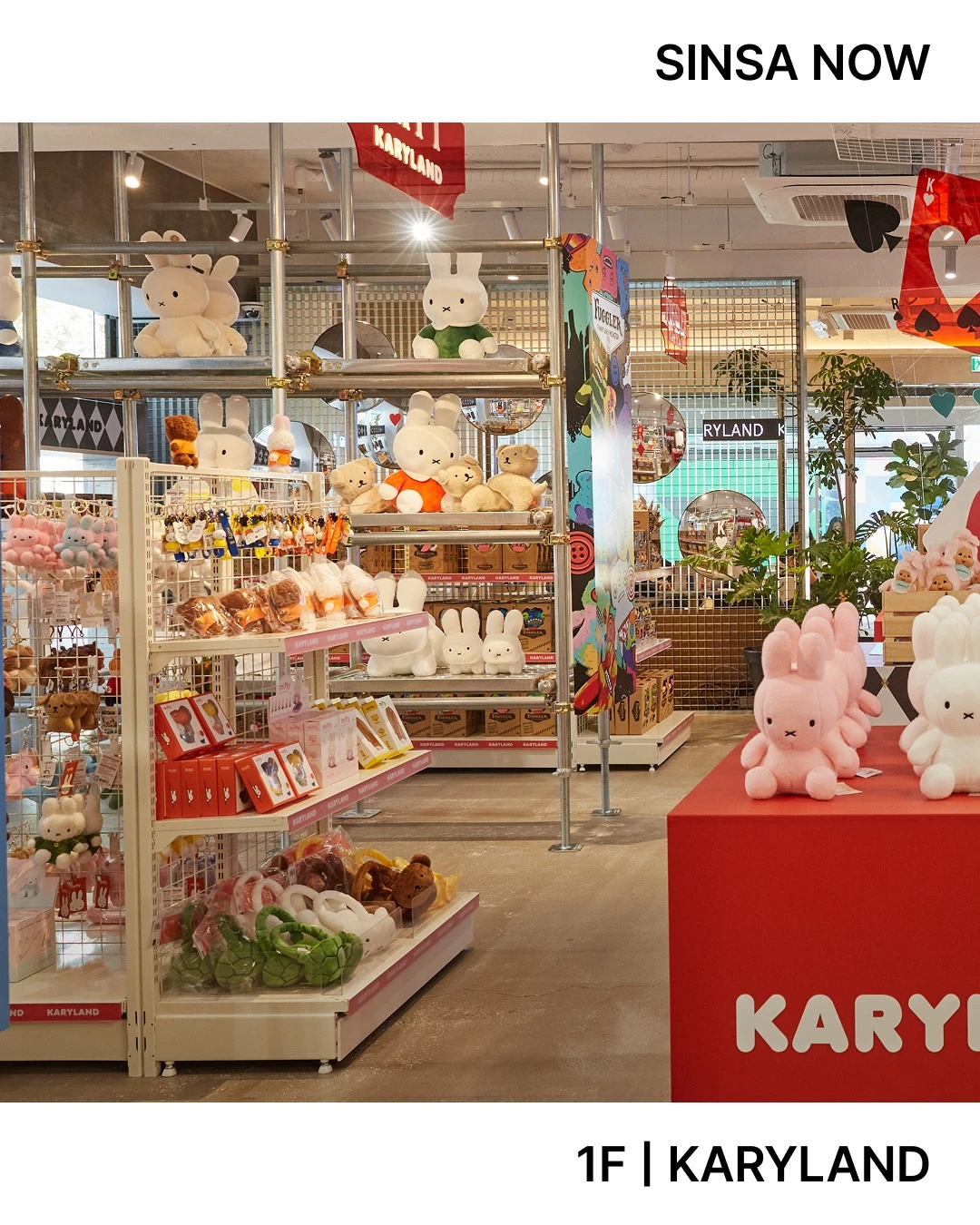 상세 이미지-23682