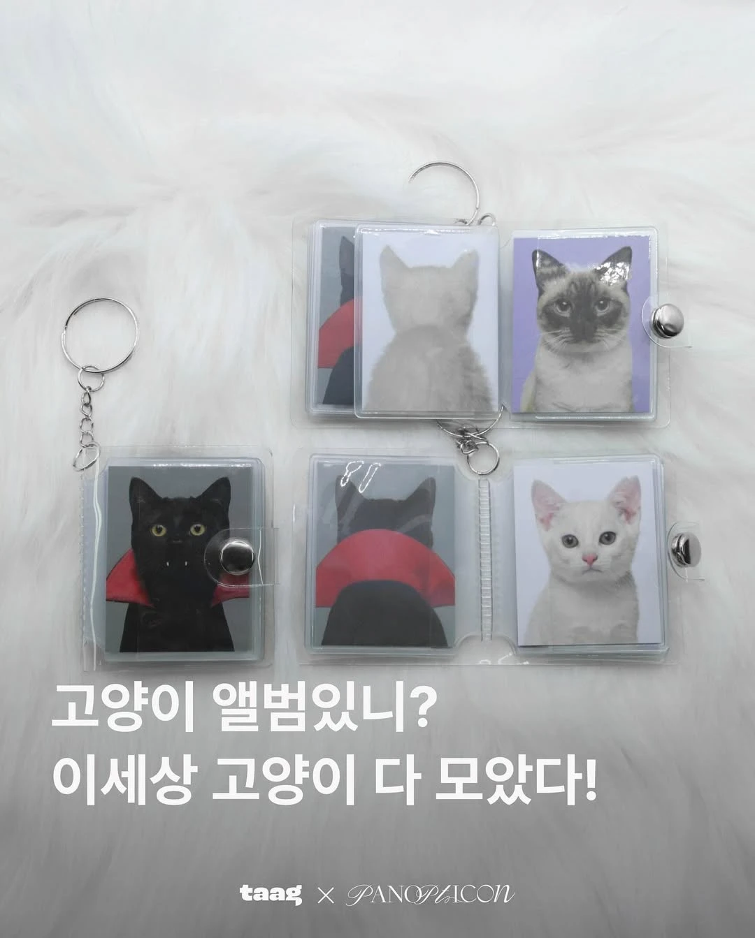 상세 이미지-23854