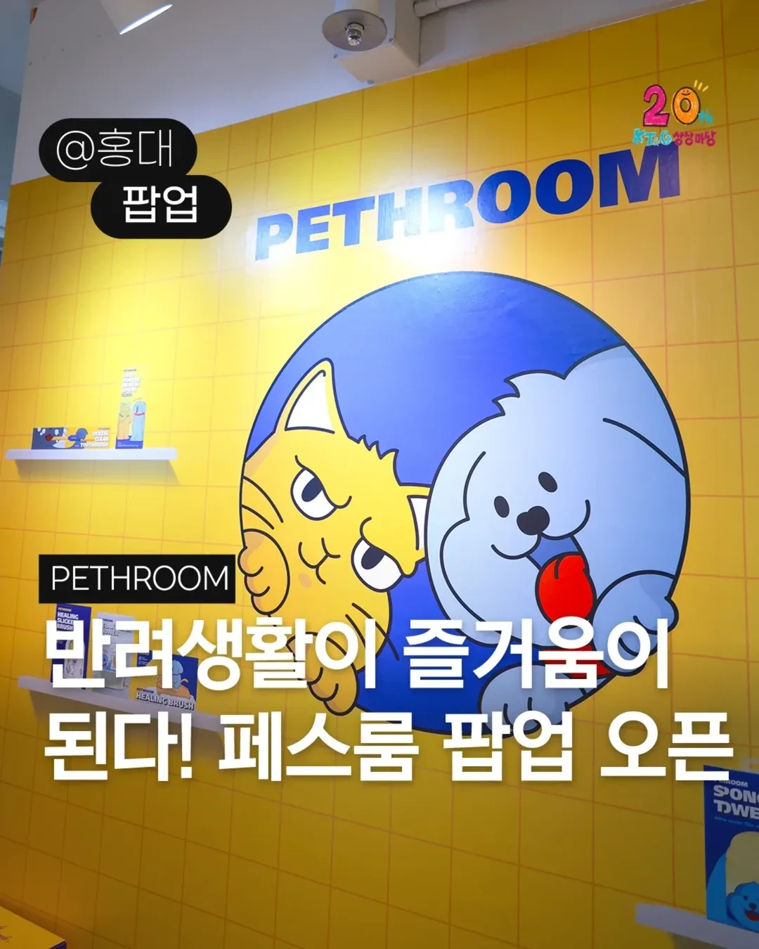 페스룸 팝업-대표-이미지