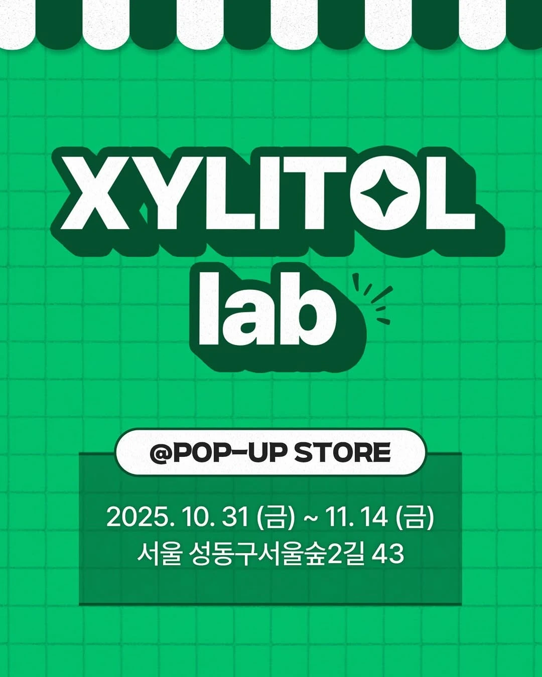 자일리톨 팝업 - Xylitol Lab in Finland-대표-이미지