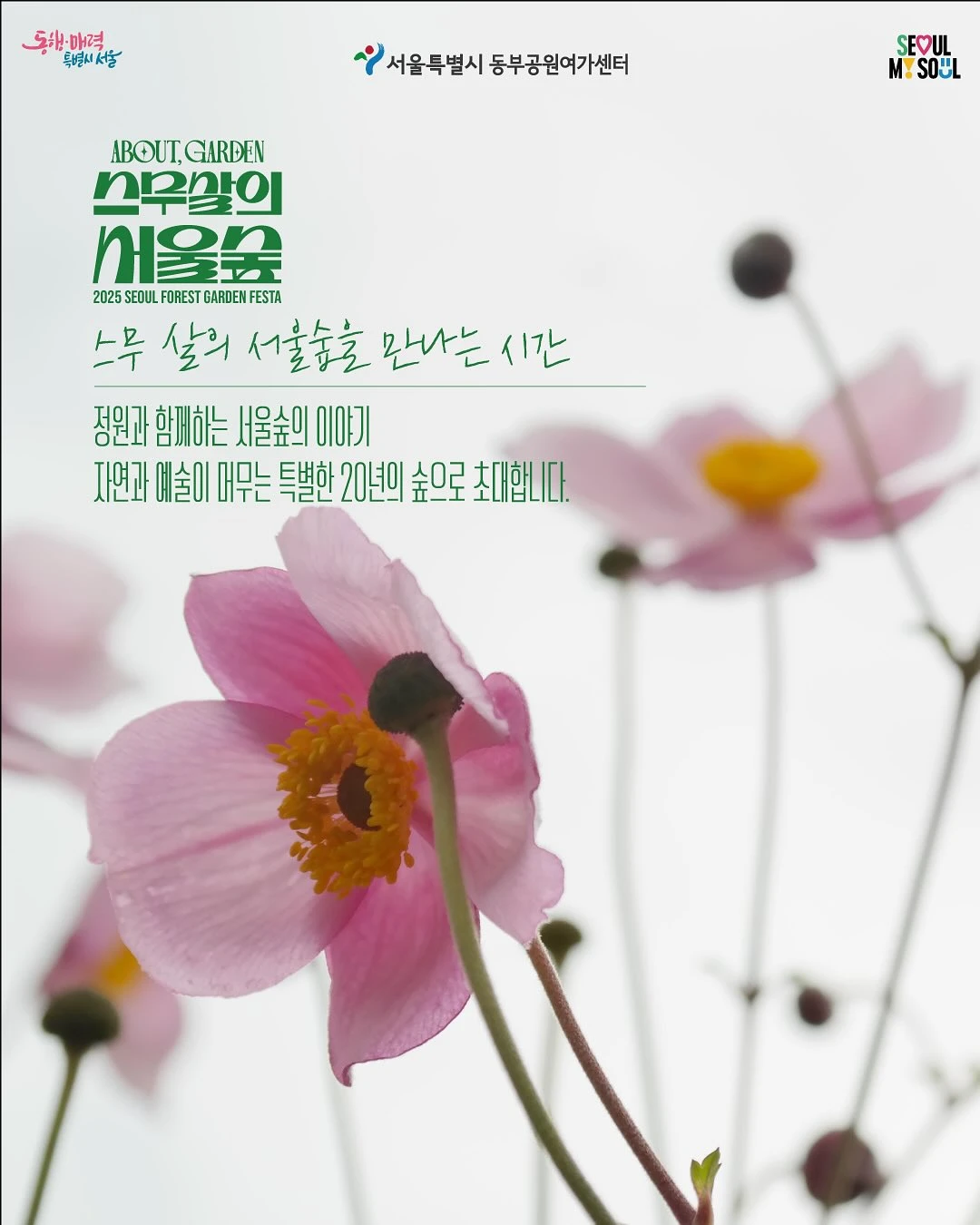 상세 이미지-24464