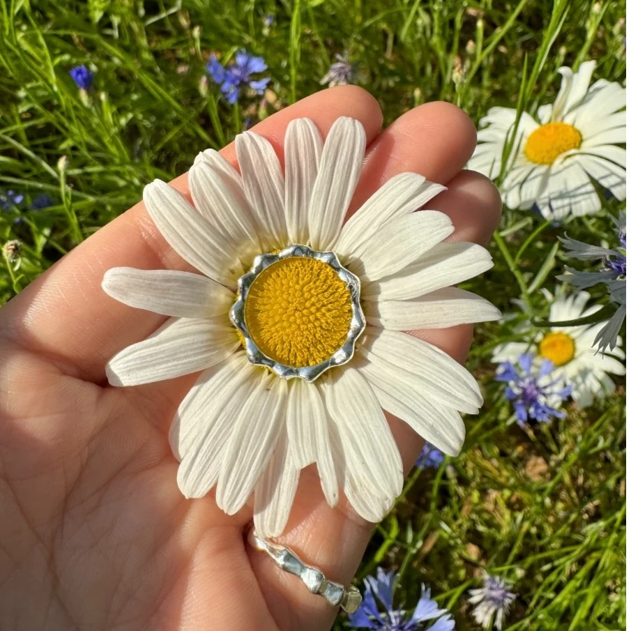 관련 팝업 - null