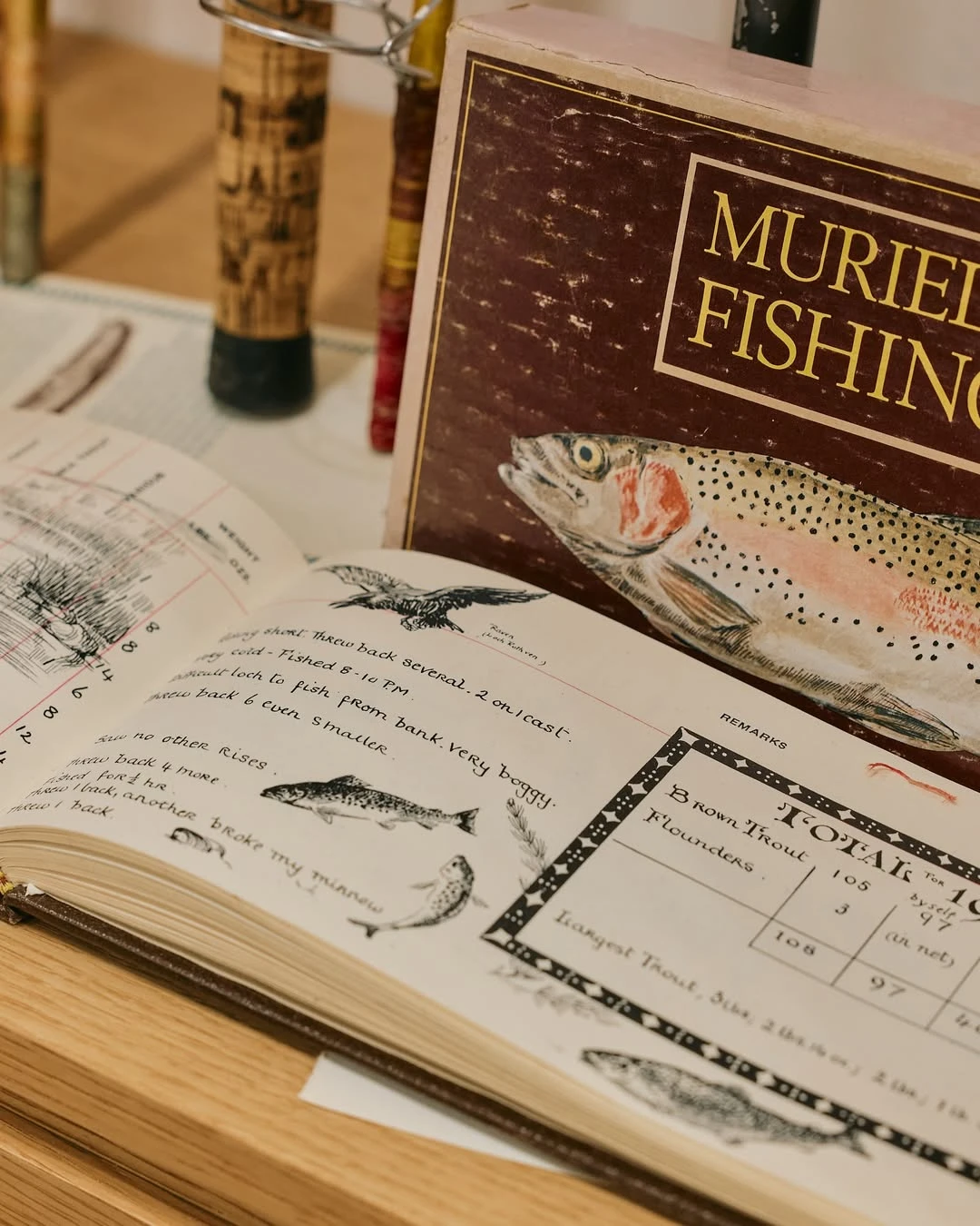 FFC X 도큐먼트 팝업