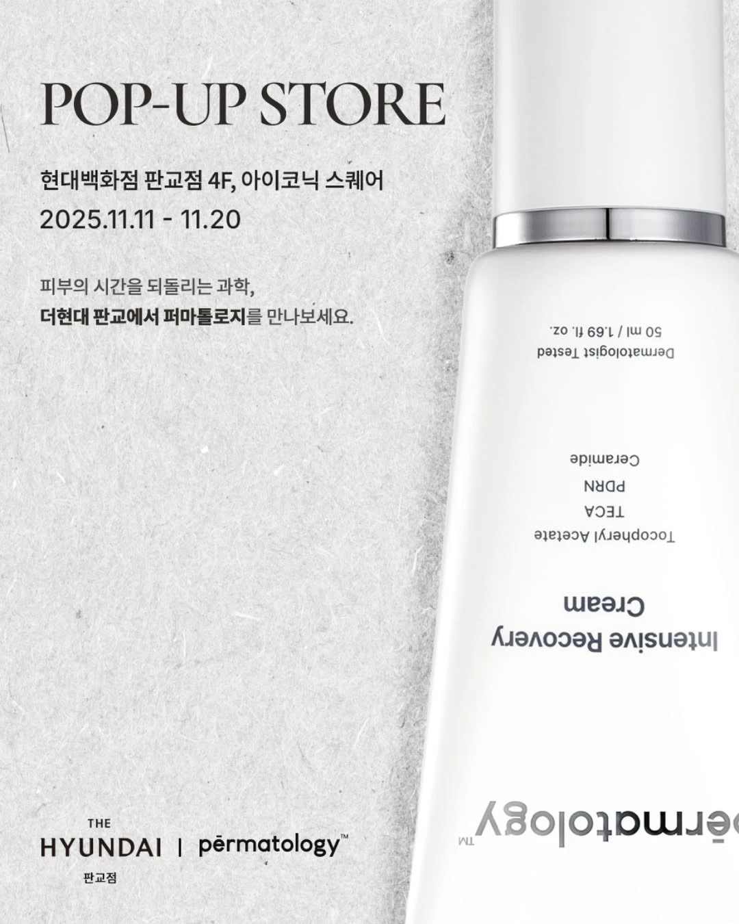 퍼마톨로지 팝업 - 판교