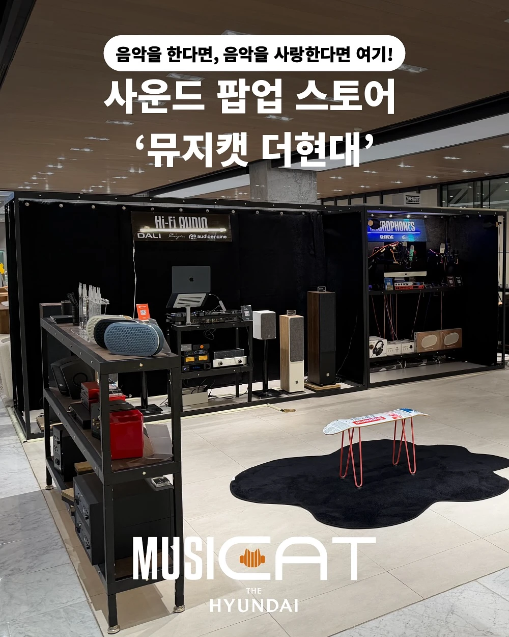 뮤지쿠스 X 사운드캣 팝업 - 뮤지캣