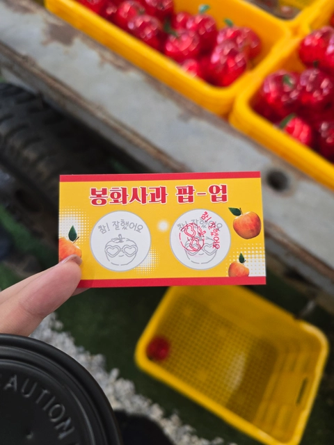 후기 이미지 3