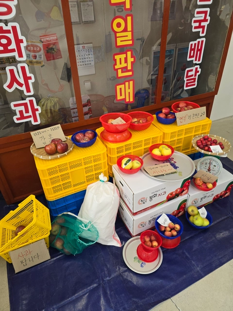 후기 이미지 5
