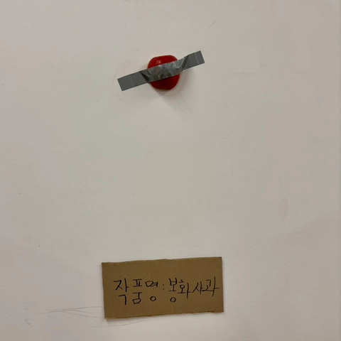 후기 이미지 5