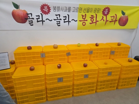 후기 이미지 4