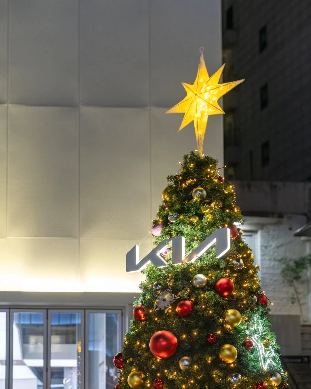 상세 이미지-26653