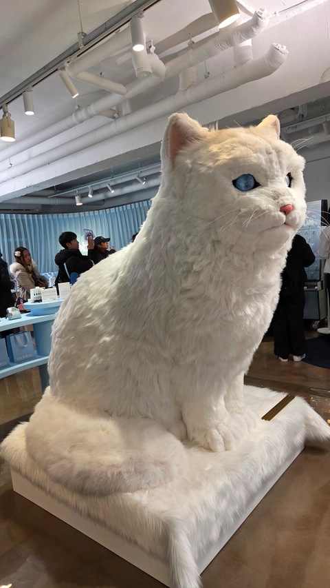 후기 이미지