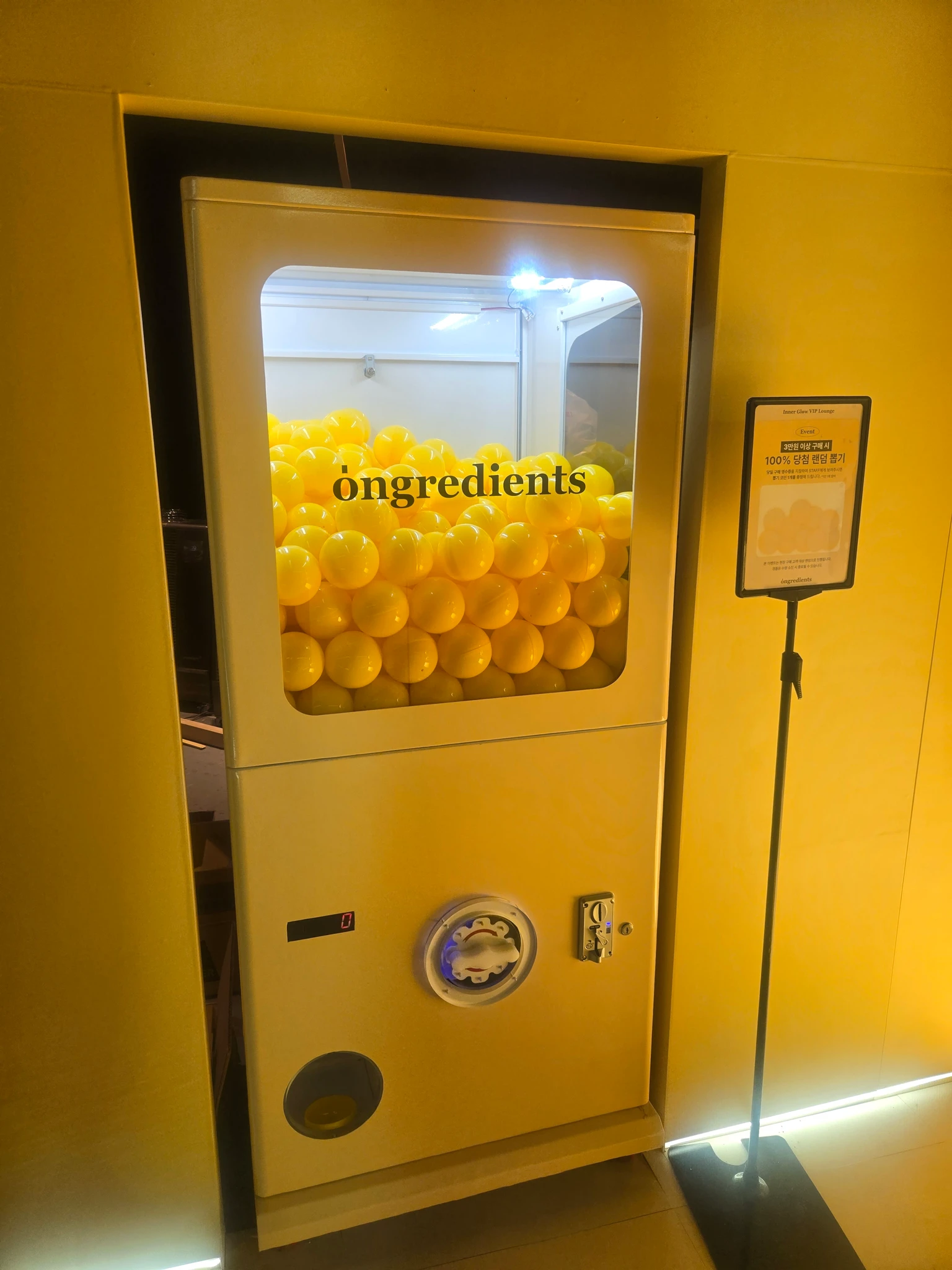 온그리디언츠 팝업 후기 이미지 5