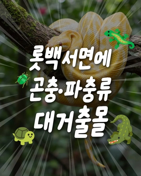 상세 이미지-31652
