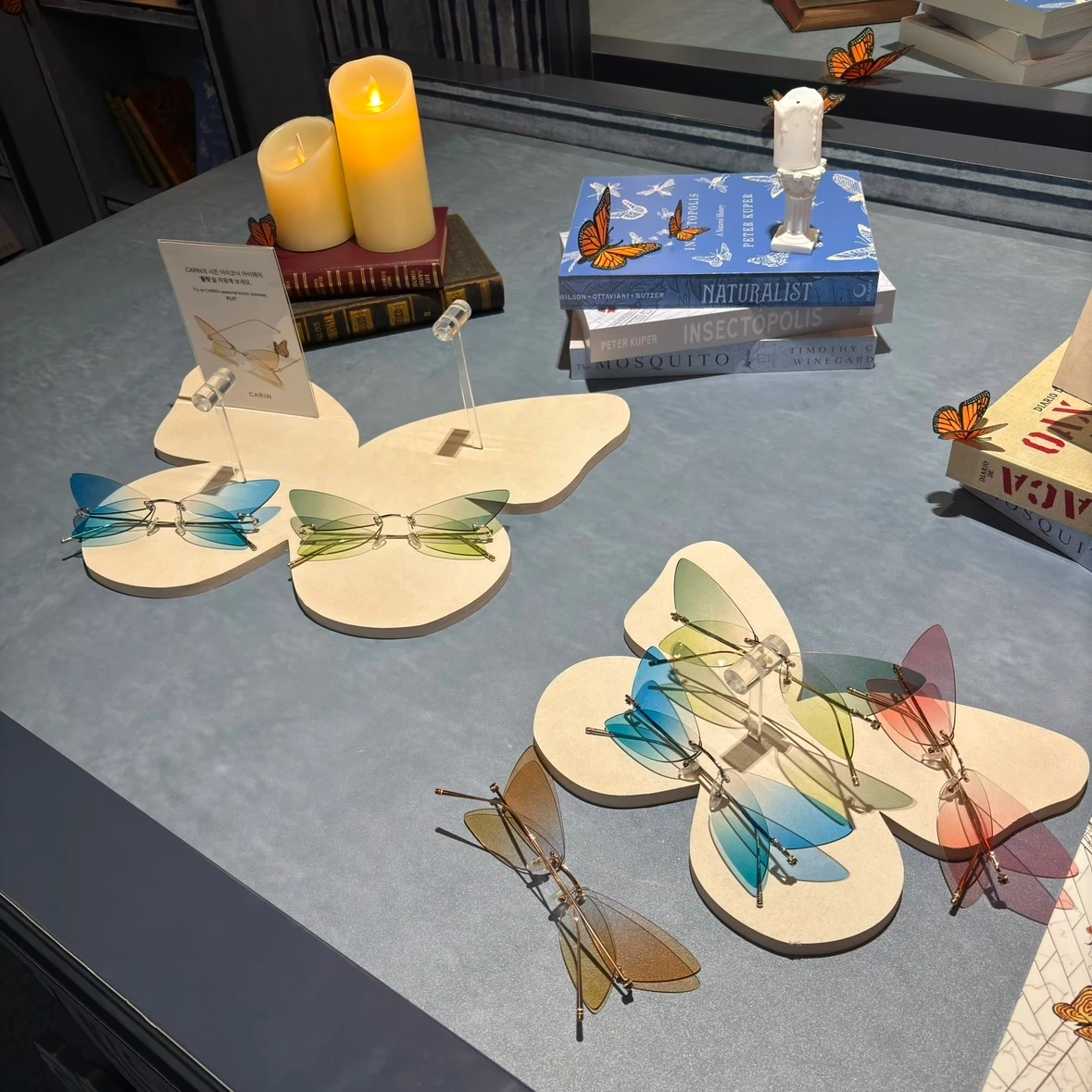 카린 전시 - 나비의 여정 후기 이미지 5