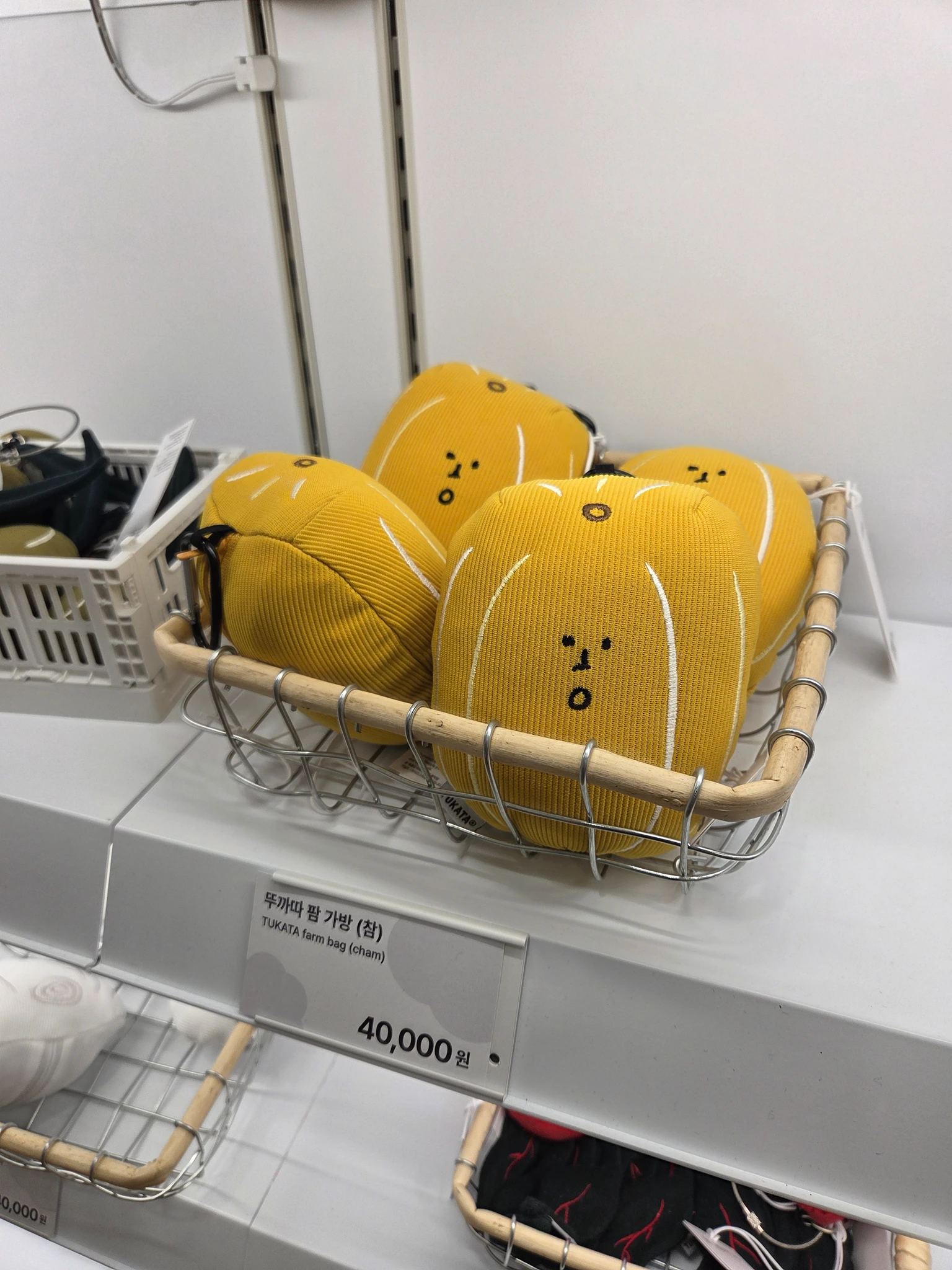 귤메달 X 프리카 팝업 후기 이미지 1