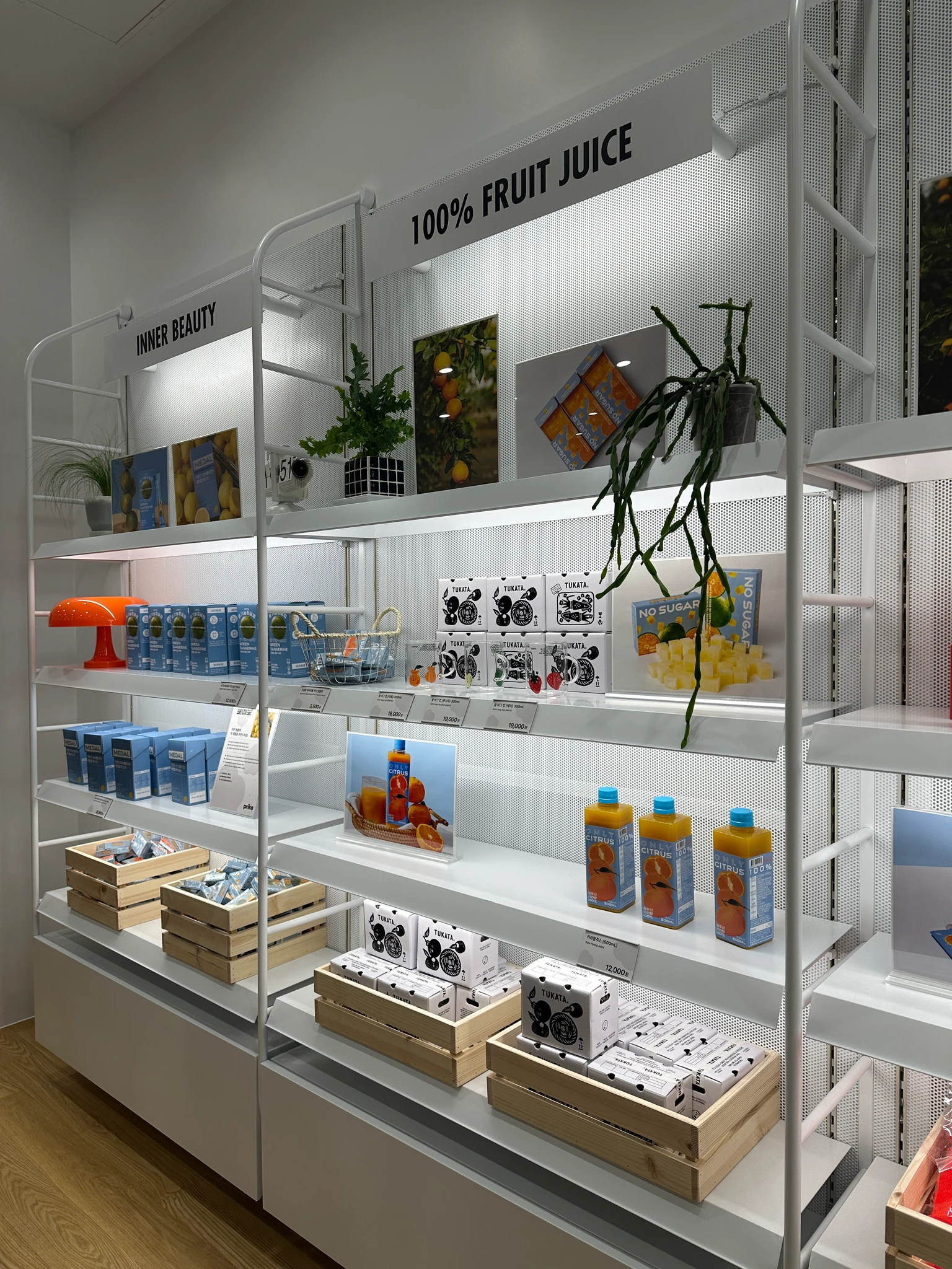 귤메달 X 프리카 팝업 후기 이미지 4