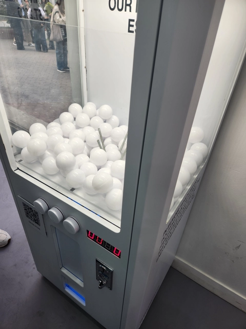 플르부아 팝업 후기 이미지 2